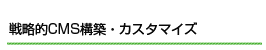 戦略的CMS構築・ビジネスブログ制作
